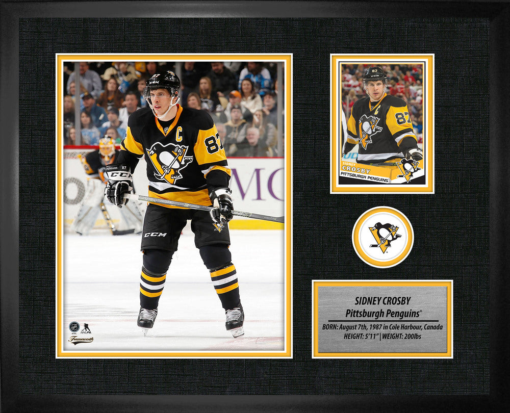 Crosby,S PhotoCard Frame Penguins